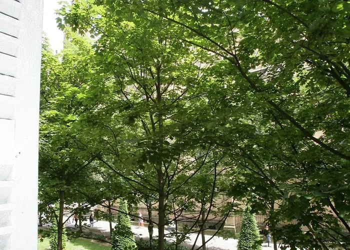 San Ignacio Centro 圣塞瓦斯蒂安